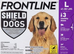 Frontline-for-Dogs_Picture_product_Shield_naXna